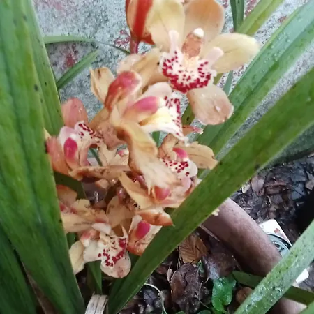 Il Rifugio Di Sav. * Rome